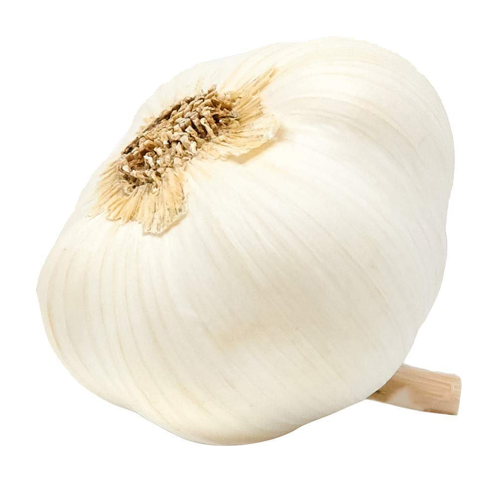 Tungurusumu 500g  Garlic 500g