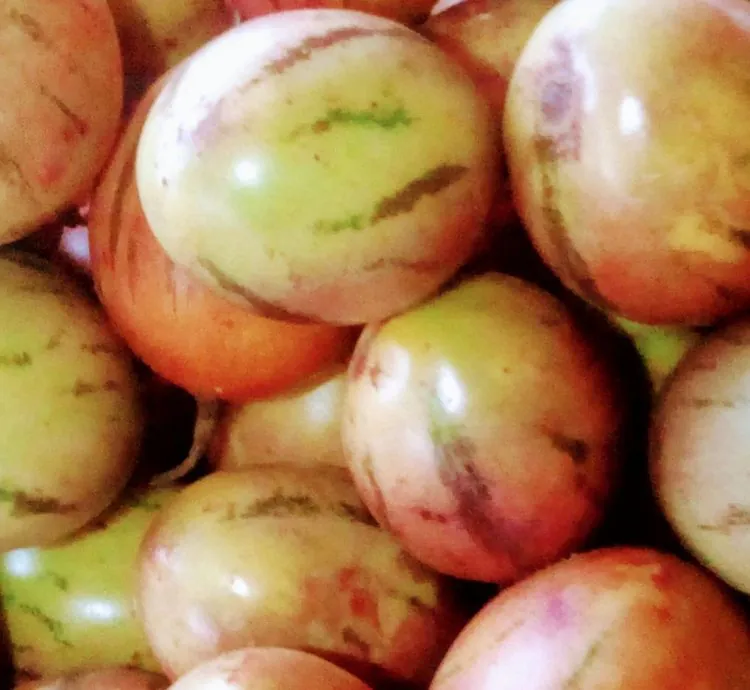 Ibinyomoro inusu, 0.5kg