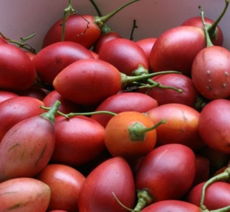 Ibinyomoro inusu, 0.5kg