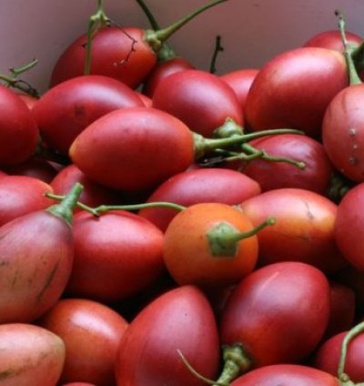 Ibinyomoro inusu, 0.5kg