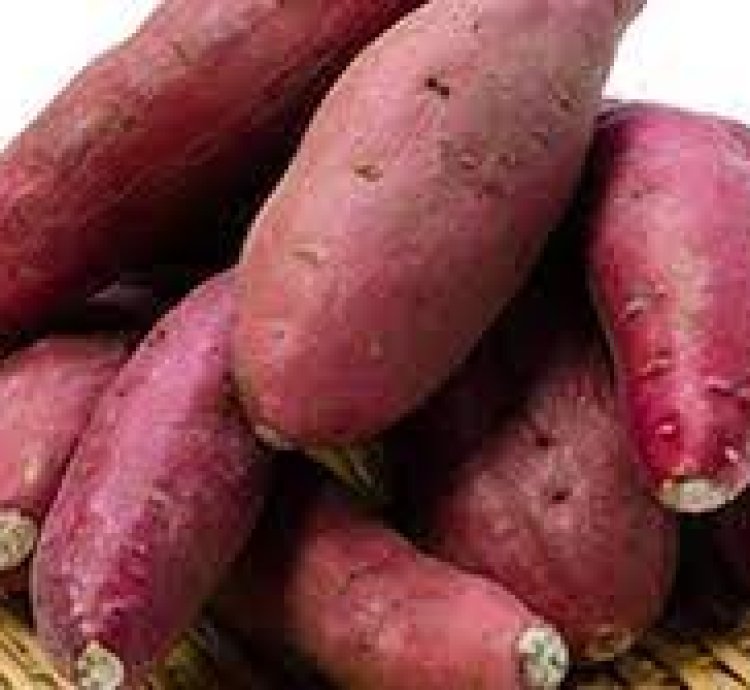 Ibijumba bibisi bitukura 2kg  by'ifufu