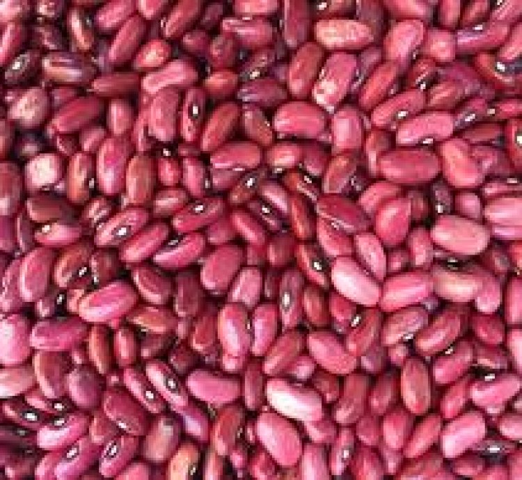 Ibishyimbo bitukura 2kg  Biribwa buri munsi, bikize intungamubiri