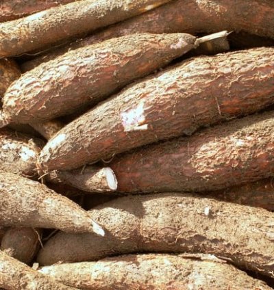 Imyumbati mibisi 2kg Yera neza, yoroshye guteka