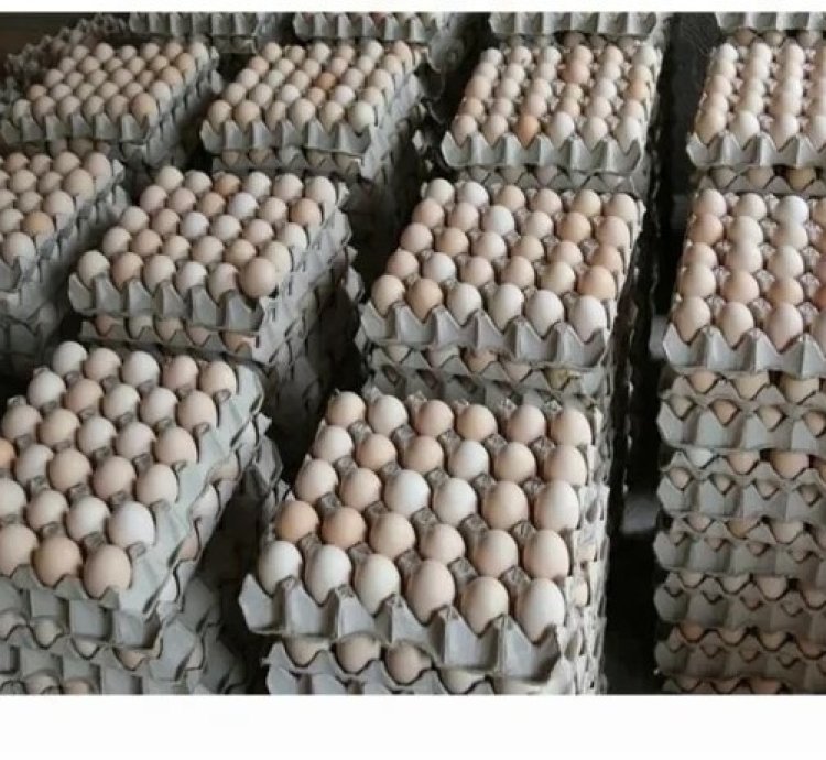 Tray y'Amagi mabisi nyaRwanda30, local Fresh tray eggs 30