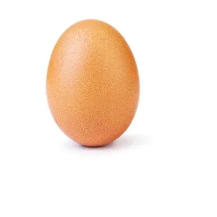 Amagi, igi Egg ,pondeuse
